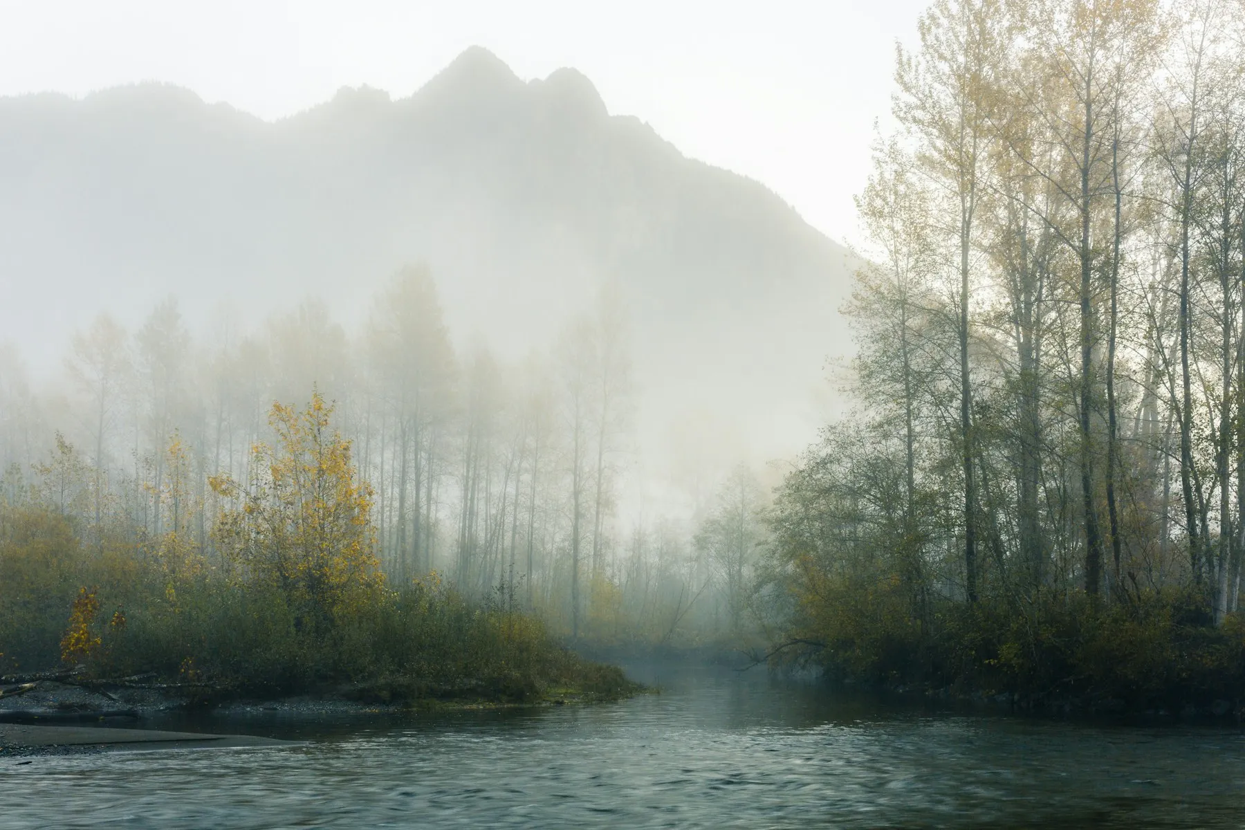 Mist over a lake framed by dark evergreen trees
